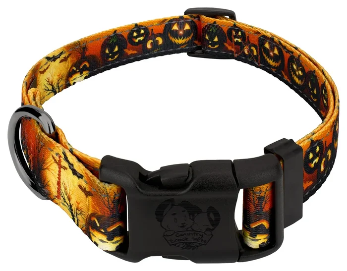 Country Brook Petz – Gunmetal Deluxe Midnight Fright Reflective Dog Collar Collection Featuring Night Safe Designs (1 Inch, Larg