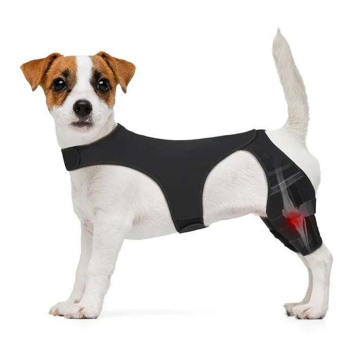 Dog Knee Brace for Torn ACL Hind Leg, Dog Leg Brace for Back Leg Fit Large Middle Small Dogs for Luxating Patella, Hip Dysplasia