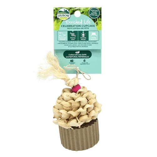 Enriched Life – Celebration Cupcake