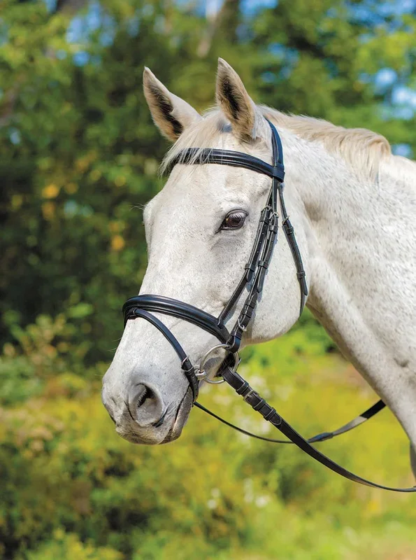 Shires Avignon Louisville Bridle